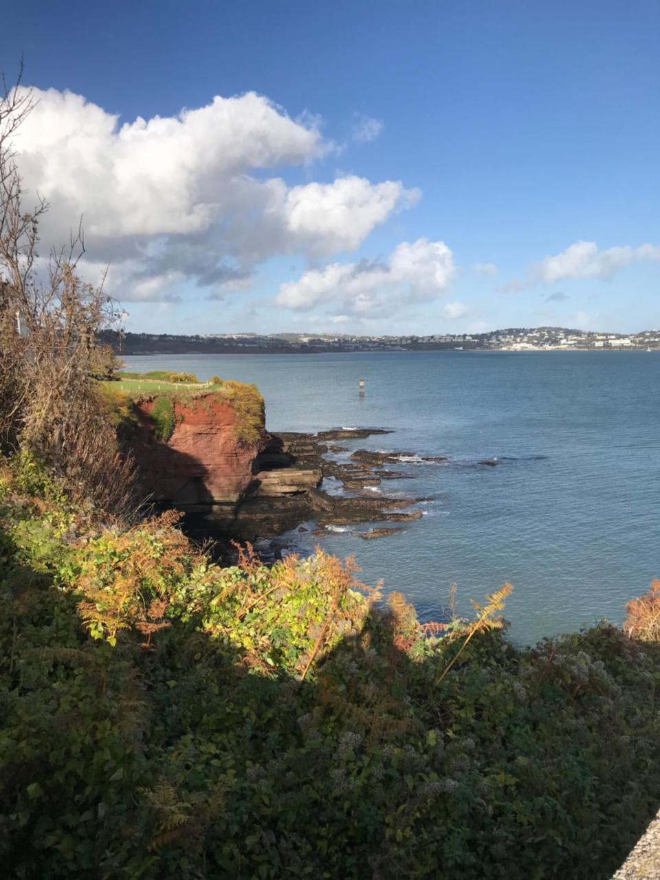 Elmdene Hotell Torquay Eksteriør bilde